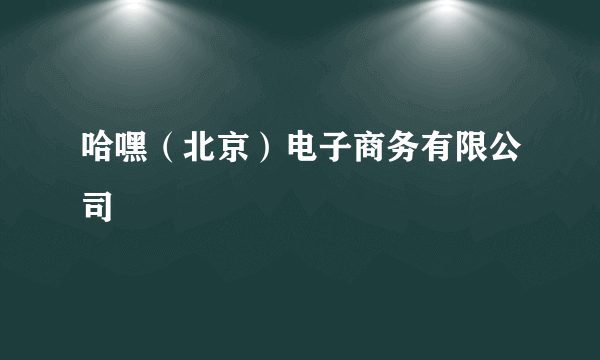 哈嘿（北京）电子商务有限公司