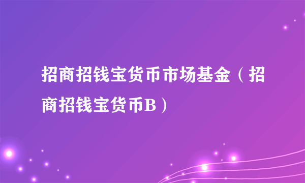 招商招钱宝货币市场基金（招商招钱宝货币B）