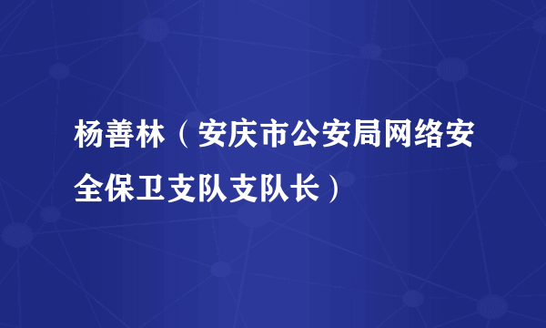 杨善林（安庆市公安局网络安全保卫支队支队长）