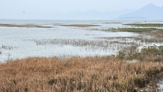 闽东沿海区