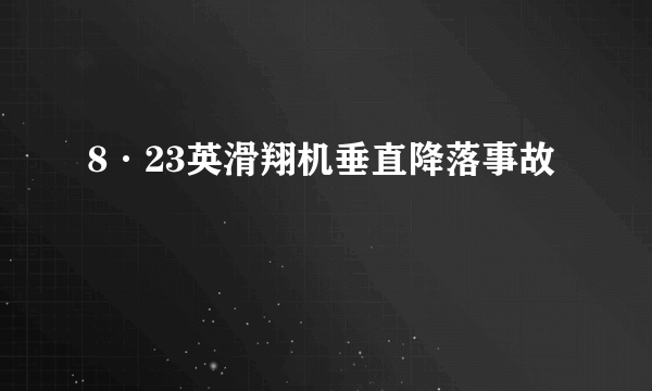 8·23英滑翔机垂直降落事故