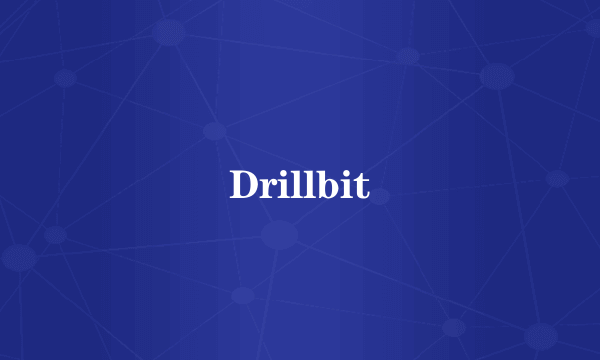 Drillbit