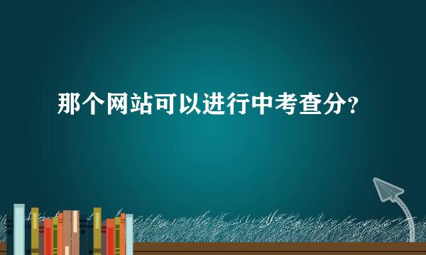 那个网站可以进行中考查分？