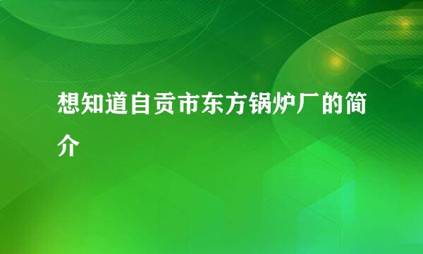 想知道自贡市东方锅炉厂的简介