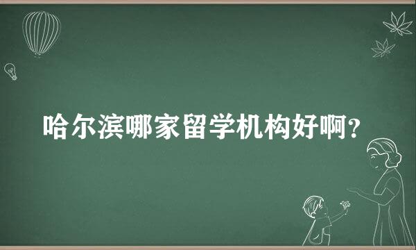 哈尔滨哪家留学机构好啊？