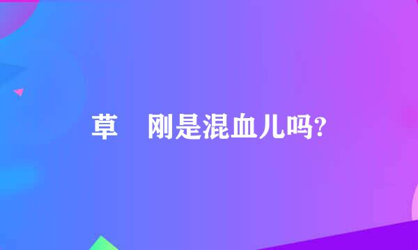 草彅刚是混血儿吗?