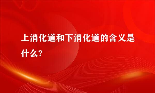 上消化道和下消化道的含义是什么?