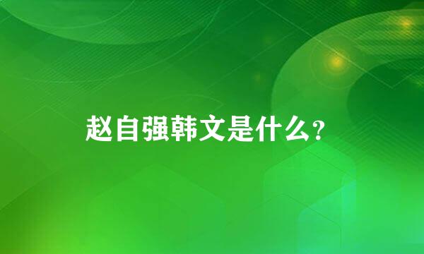 赵自强韩文是什么？