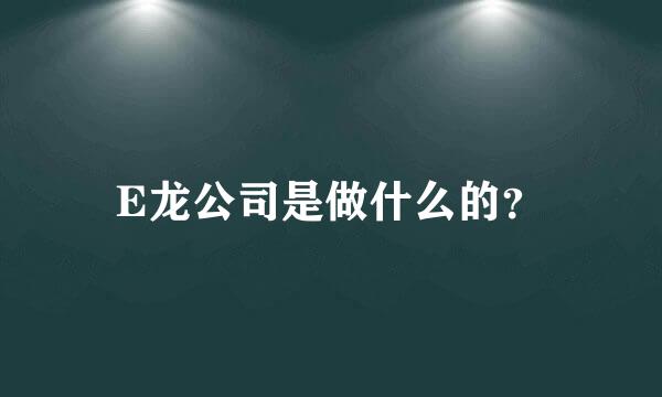 E龙公司是做什么的？