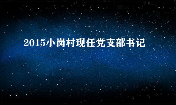 2015小岗村现任党支部书记