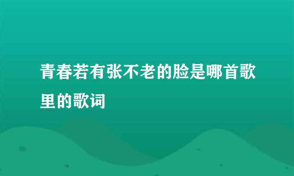 青春若有张不老的脸是哪首歌里的歌词