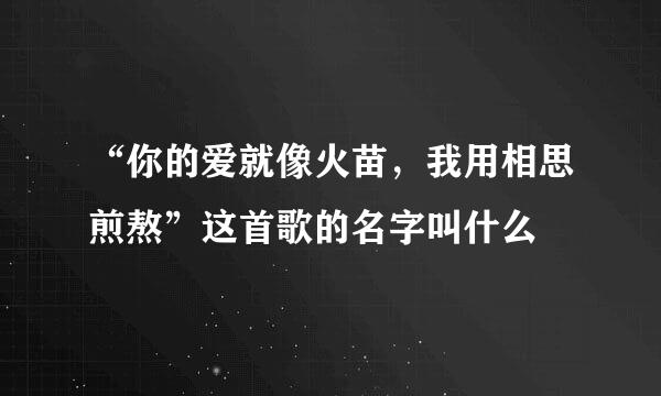 “你的爱就像火苗，我用相思煎熬”这首歌的名字叫什么