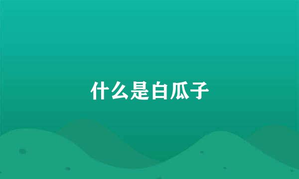 什么是白瓜子