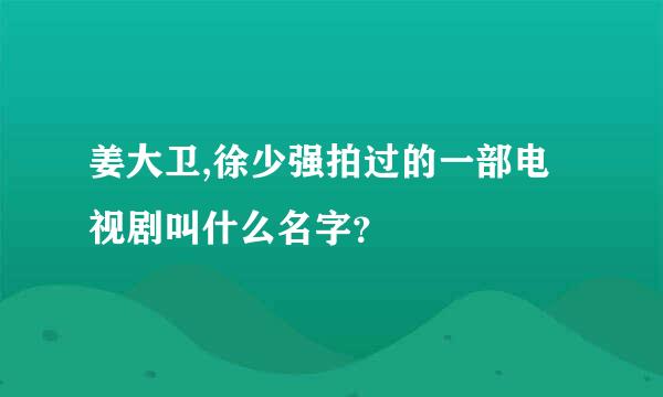 姜大卫,徐少强拍过的一部电视剧叫什么名字？