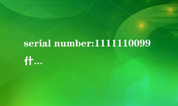 serial number:1111110099什么意思中文翻译成？