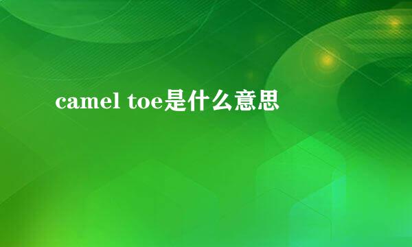 camel toe是什么意思