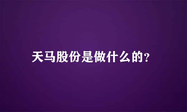 天马股份是做什么的？