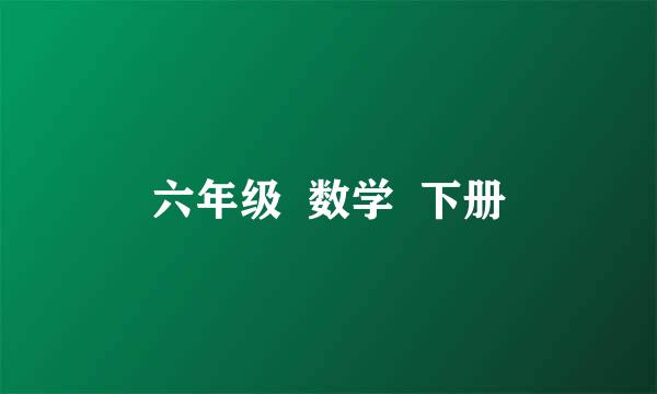 六年级  数学  下册