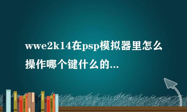 wwe2k14在psp模拟器里怎么操作哪个键什么的是打人，抱人，绝招怎么用啊，