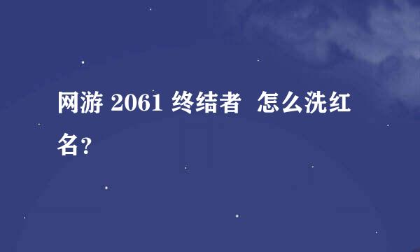 网游 2061 终结者  怎么洗红名？