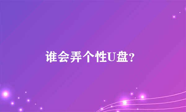 谁会弄个性U盘？