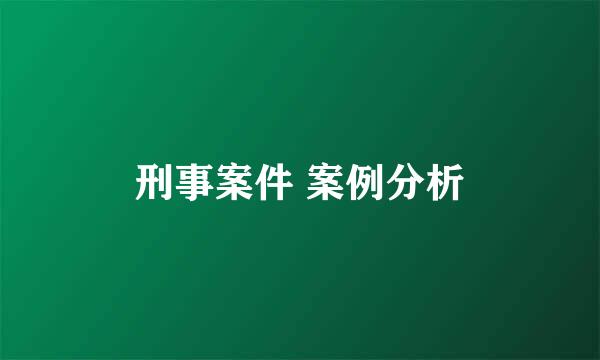 刑事案件 案例分析