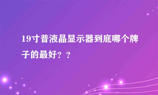 19寸普液晶显示器到底哪个牌子的最好？？