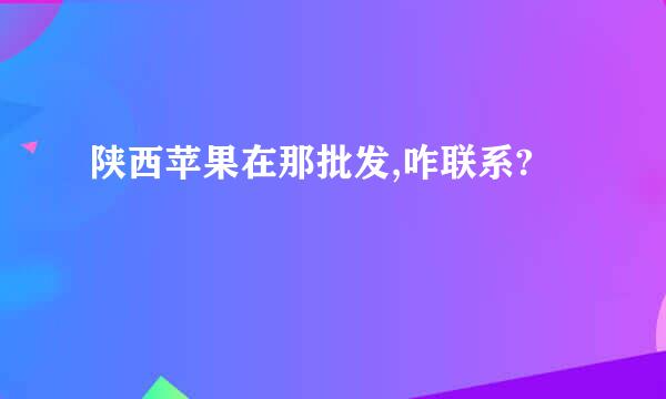 陕西苹果在那批发,咋联系?