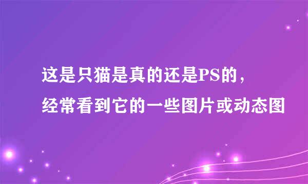 这是只猫是真的还是PS的，经常看到它的一些图片或动态图