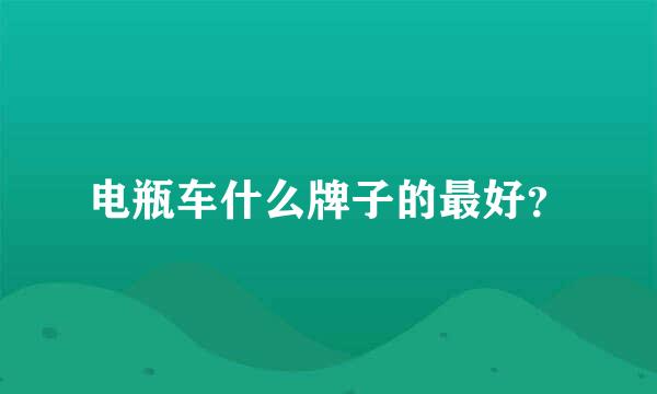 电瓶车什么牌子的最好？