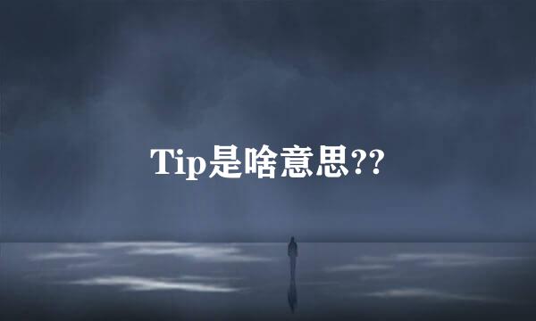 Tip是啥意思??