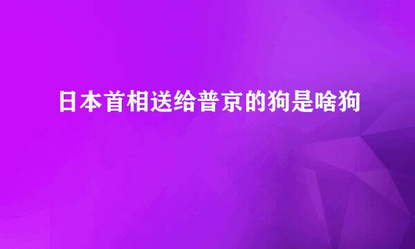 日本首相送给普京的狗是啥狗