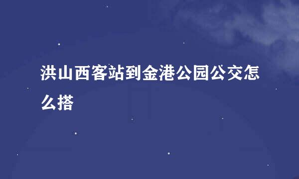 洪山西客站到金港公园公交怎么搭