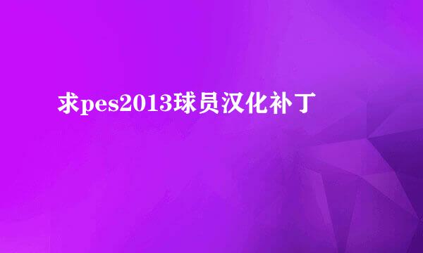 求pes2013球员汉化补丁