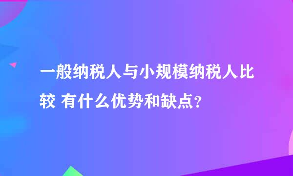 一般纳税人与小规模纳税人比较 有什么优势和缺点？