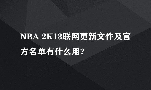 NBA 2K13联网更新文件及官方名单有什么用?