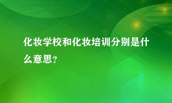 化妆学校和化妆培训分别是什么意思？