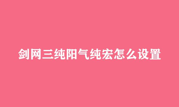 剑网三纯阳气纯宏怎么设置