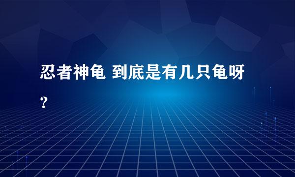 忍者神龟 到底是有几只龟呀？