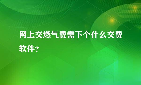 网上交燃气费需下个什么交费软件？