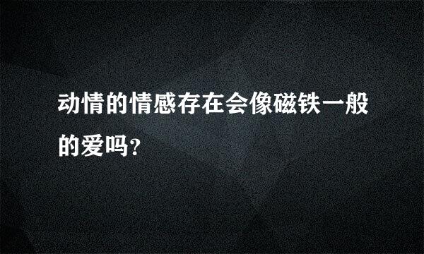 动情的情感存在会像磁铁一般的爱吗？