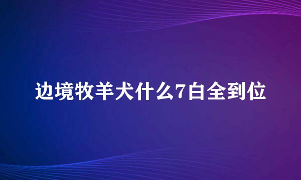 边境牧羊犬什么7白全到位