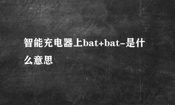 智能充电器上bat+bat-是什么意思