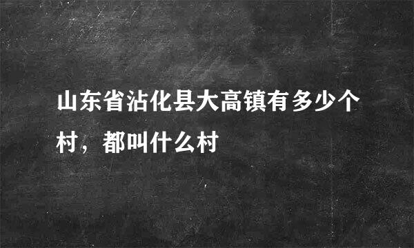 山东省沾化县大高镇有多少个村，都叫什么村