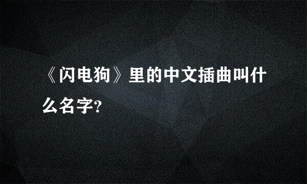 《闪电狗》里的中文插曲叫什么名字？