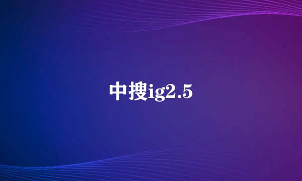 中搜ig2.5