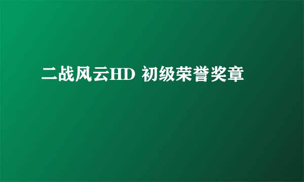 二战风云HD 初级荣誉奖章