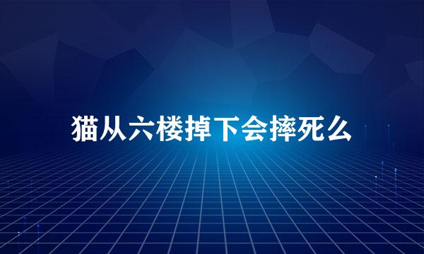 猫从六楼掉下会摔死么