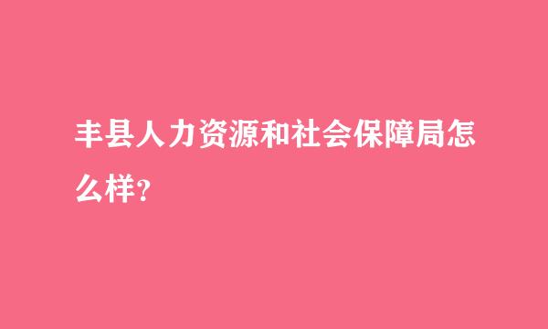 丰县人力资源和社会保障局怎么样？