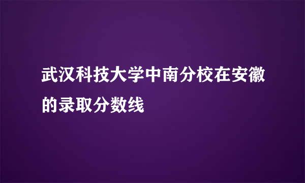 武汉科技大学中南分校在安徽的录取分数线